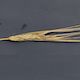 Hordeum vulgare HOR12541
