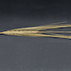 Hordeum vulgare HOR14121