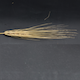 Hordeum vulgare HOR19184