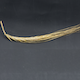 Hordeum vulgare HOR21322