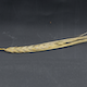 Hordeum vulgare HOR8117