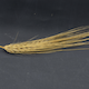 Hordeum vulgare HOR9043