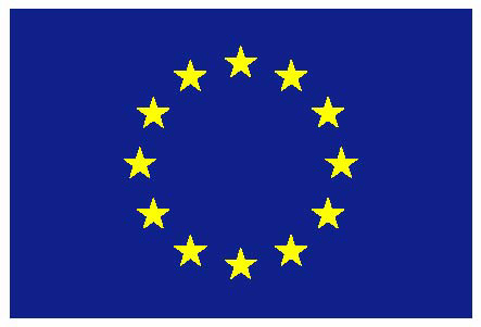 The European flag