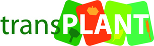 transPLANT logo