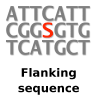 Upstream and downstream sequence