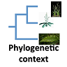 Sequence conservation via cross-species alignments